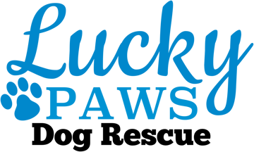 Lucky Paws Dog Rescue Inc - South East Queensland, Hervey Bay