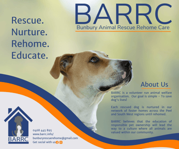 BARRC - Animal Rescue & Rehoming - Bunbury, South-West WA