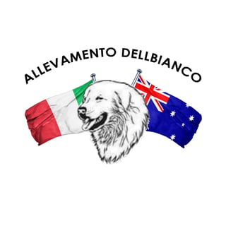 Dellbianco PMA - Maremma Sheepdog Breeder - Clarence, NSW