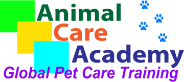 Animal Care Academy - Global Pet Care Training - Sydney Australia 