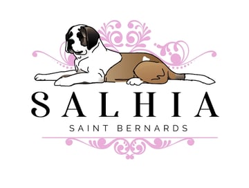 Salhia St.Bernards - St. Bernard Breeder - Stockleigh, QLD