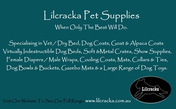 Lilcracka Pet Supplies 