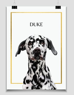 Designer Pet Portraits