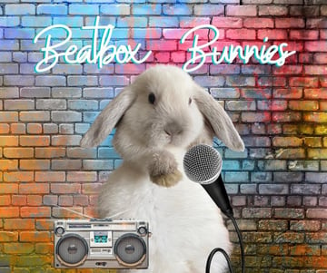 Beatbox Bunnies - Mini Lop Rabbit Breeder - VIC