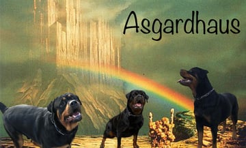 Asgardhaus Kennels - Rottweiler breeder- Melbourne,VIC