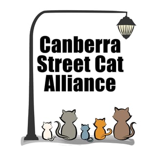 Canberra Street Cat Alliance 
