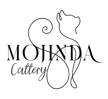 Mojinda Cattery - Maine Coon and Burmese, Cat Breeder - Glenhaven, NSW