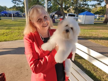 Destiny and me at a show GUYS'N'DOLLS Coton De Tulear Breeder - Brisbane, QLD