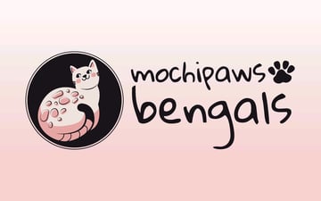 Mochipaws Bengals - Bengal Cat Breeder - Perth, WA