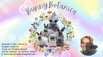 BunnyBotanica Rabbitry - Minil Lops, Satins, English Angoras