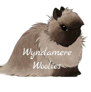 Wyndamere Jersey Wooly Breeder - Katoomba, NSW