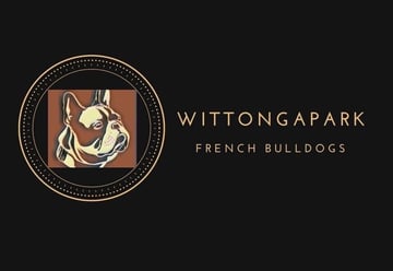 Wittongapark French Bulldogs - Sunshine Coast QLD