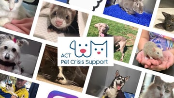 ACT Pet Crisis Support - assistance with vet bills