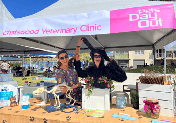 Chatswood Veterinary Clinic 