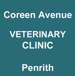 Coreen Avenue Veterinary Clinic