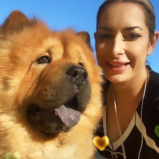 Brisbane Pet Sitter