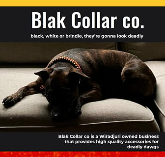 Blak Collar CO.  High Quality Collars & Leads for Deadly Dogs