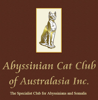 Abyssinian and Somali Cat Club of Australia Inc