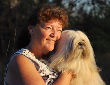 Zaland Lhasa Apso & Pugs