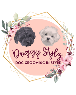 Doggy Stylz Cairns