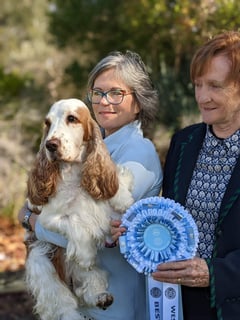 KIRKMOOR COCKER SPANIELS 