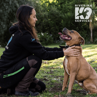 Riverina K9 Services