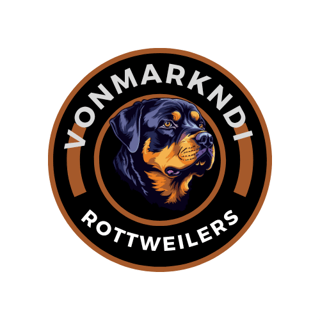 VONMARKNDI ROTTWEILERS 