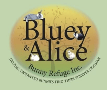 The Bluey & Alice Bunny Refuge Inc. 