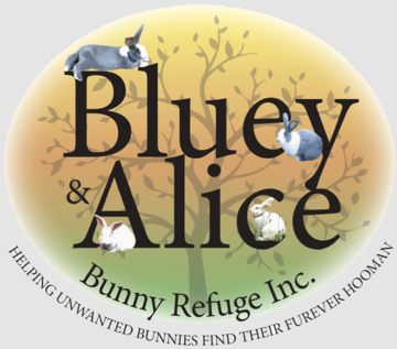 The Bluey & Alice Bunny Refuge Inc. 