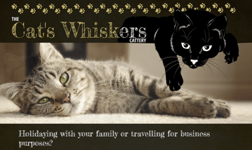 The Cats Whiskers Cattery
