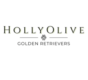 HollyOlive Golden Retrievers