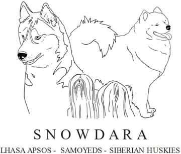 Snowdara Samoyeds, Siberian Huskies and Lhasas