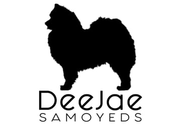 DeeJae Samoyeds