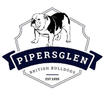 Pipersglen British Bulldogs