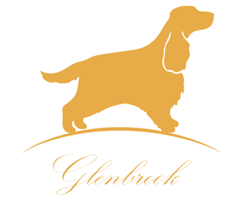 Glenbrook Cockers - Breeder Cocker Spaniel (English)