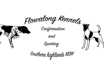 Flowalong Fox Terriers 