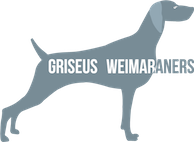 Griseus Kennels - Weimaraner Breeder - Sydney, NSW