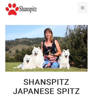 Shanspitz Japanese Spitz