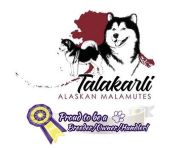 Talakarli Alaskan Malamutes