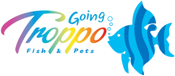 Going Troppo Fish & Pets