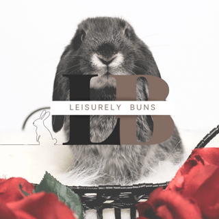 Leisurely Buns : Purebred Mini Lop Rabbits, Rabbit Rescue, Rabbit Information Products