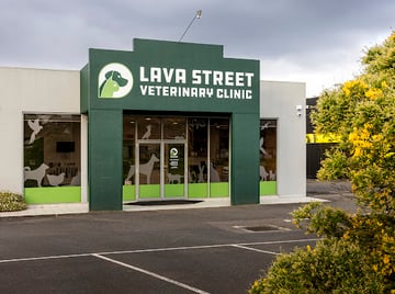 Lava Street Veterinary Clinic - 1051 Raglan Parade, Warrnambool