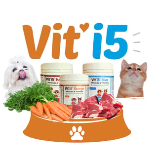 Vit'i5 - Tailored recipes for dogs