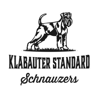 Klabauter Standard Schnauzer Breeder - Kiama, NSW