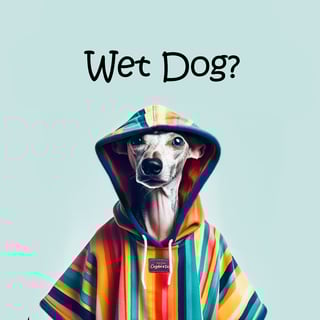 Dolphin & Dog - Dog Towels & Drying Coats