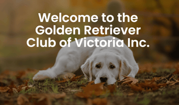 Golden Retriever Club of Victoria Inc.