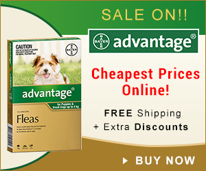 VetSupply – Australia’s Leading Online Pet Supplies Store