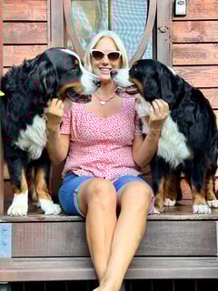 ToDaMoon Bernese Mountain Dogs