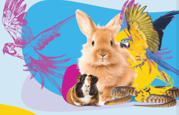The Unusual Pet Vets - Gold Coast