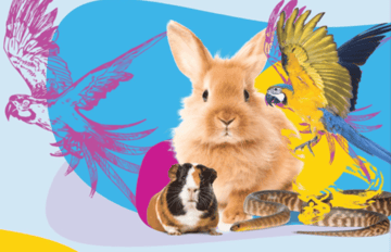 The Unusual Pet Vets Flemington